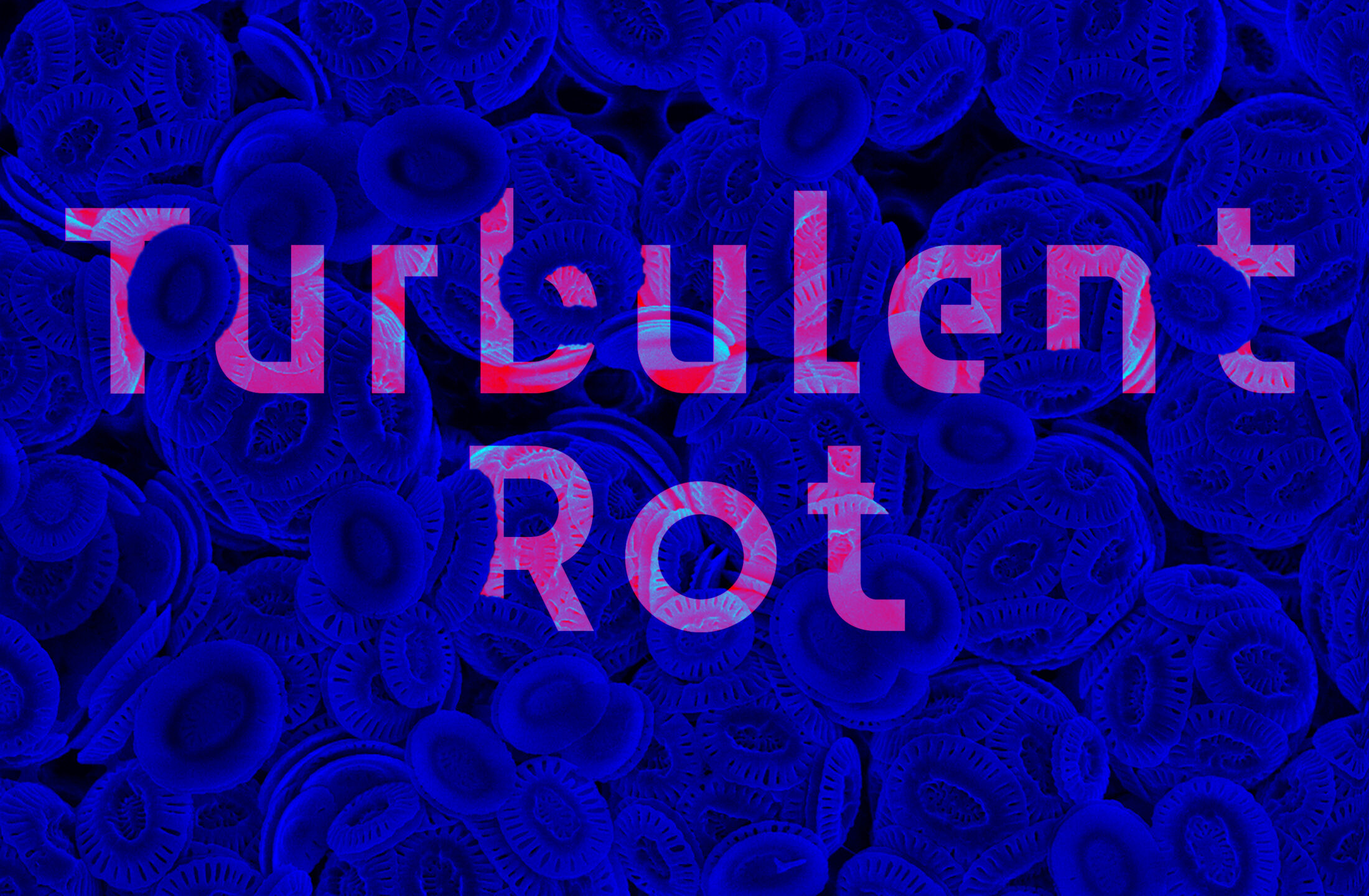 Turbulent Rot Poster